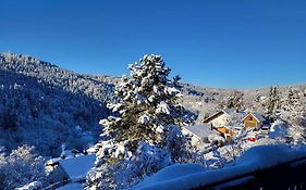 Grosse Ferienwohnung In Ruhiger Lage Mit Toller Aussicht In Triberg