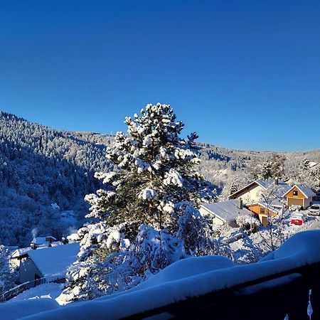 Grosse Ferienwohnung In Ruhiger Lage Mit Toller Aussicht In Triberg Triberg im Schwarzwald Extérieur photo