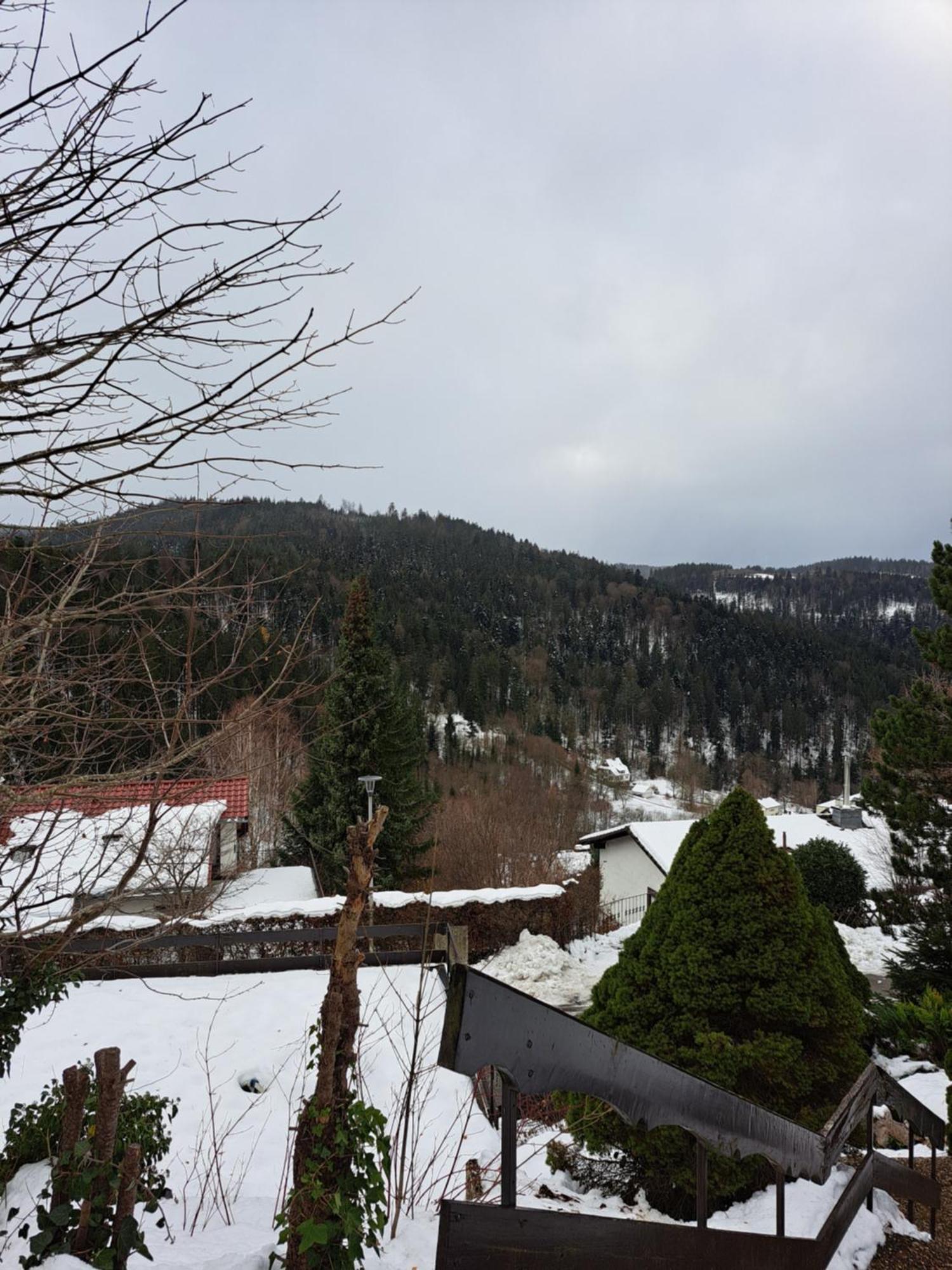Grosse Ferienwohnung In Ruhiger Lage Mit Toller Aussicht In Triberg Triberg im Schwarzwald Extérieur photo