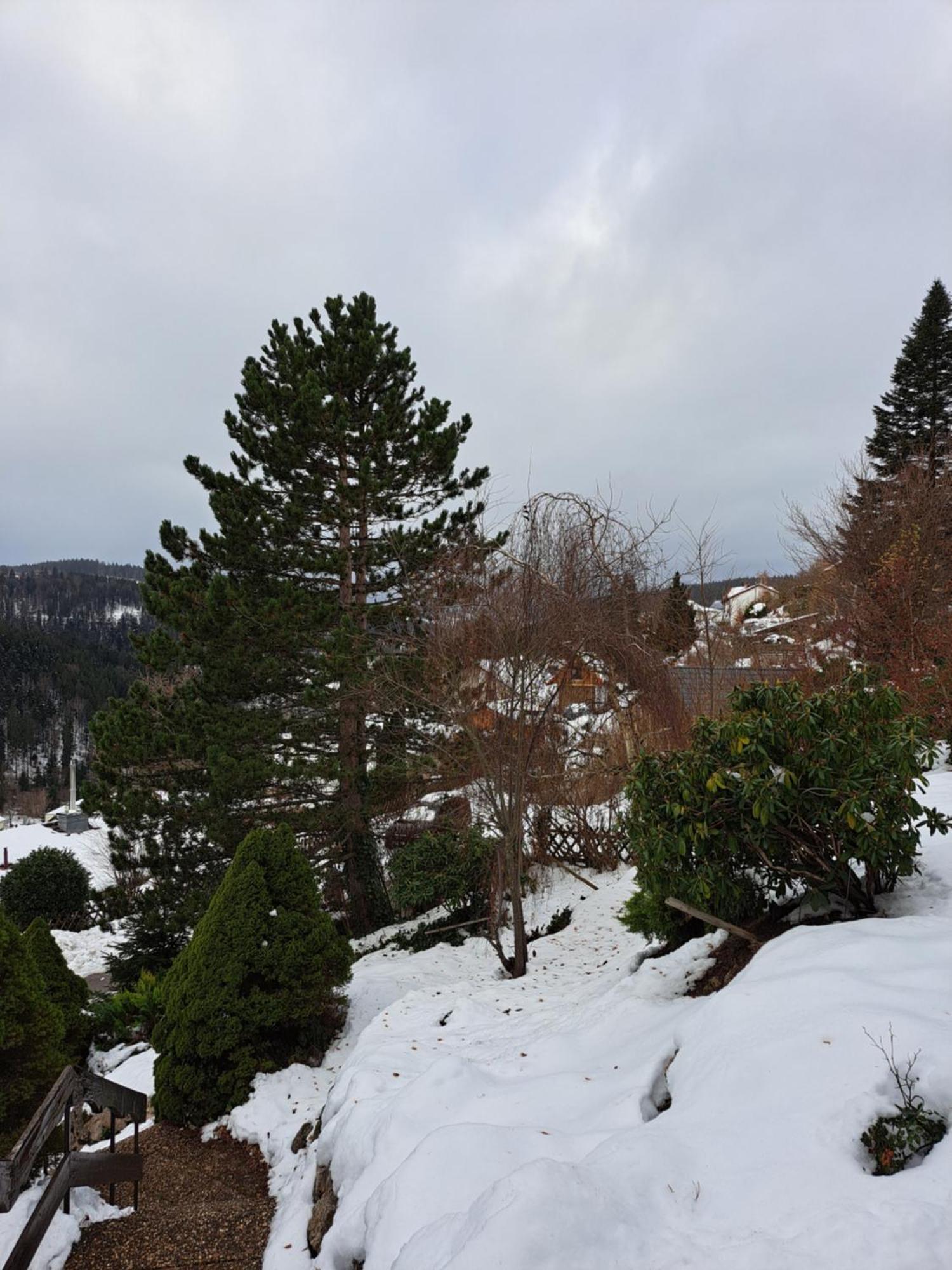 Grosse Ferienwohnung In Ruhiger Lage Mit Toller Aussicht In Triberg Triberg im Schwarzwald Extérieur photo