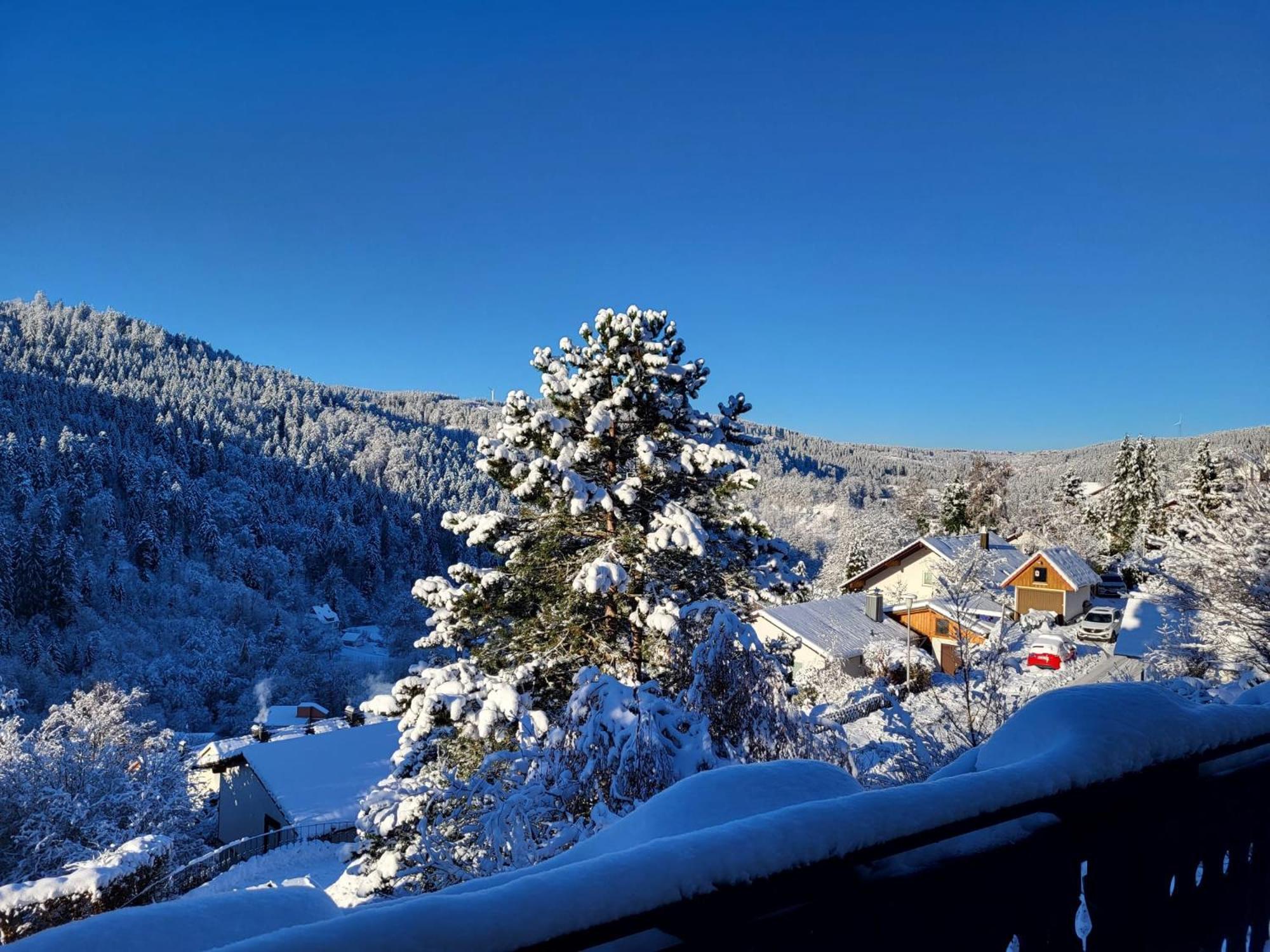 Grosse Ferienwohnung In Ruhiger Lage Mit Toller Aussicht In Triberg Triberg im Schwarzwald Extérieur photo